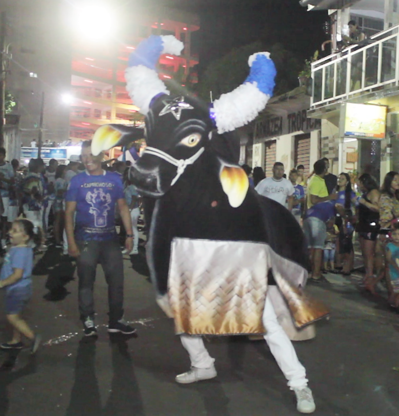 Boi Caprichoso arrasta multidão no 'Boi de Rua' - Portal Cultura do AM