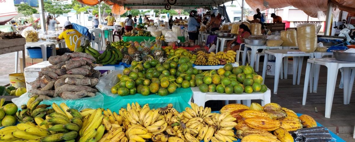 Porto da Vila Amazônia recebe agricultores para venda de produtos agrícolas nesta sexta-feira