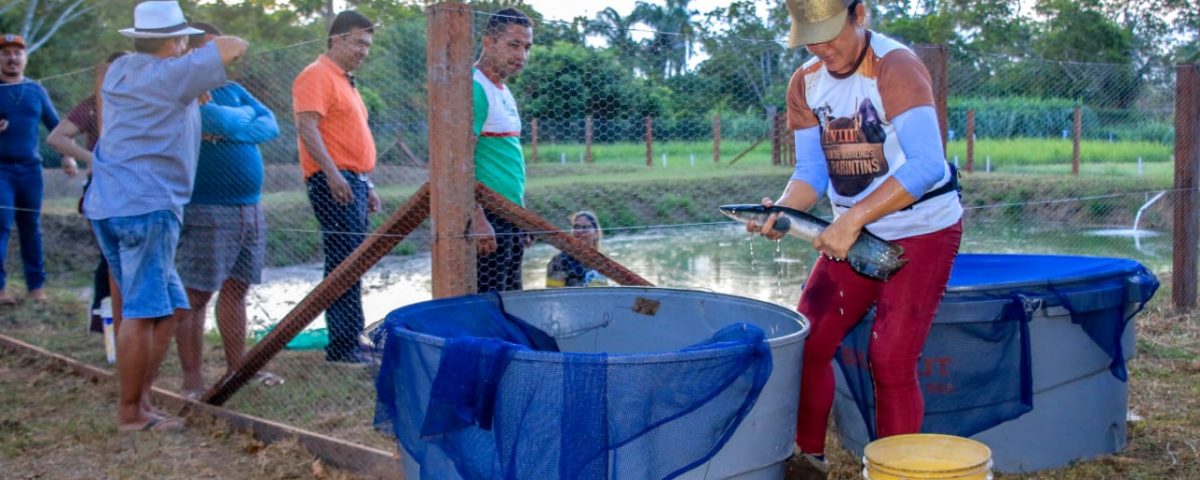 Vitrine de piscicultura é instalada pela APP na 36ª Expopin