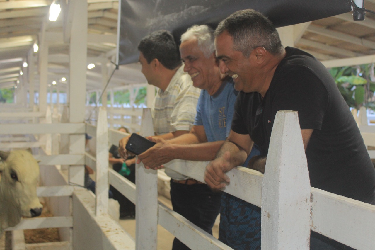 Na 36ª Expopin, Fazenda Parintins apresenta nelore de alta eficiência reprodutiva